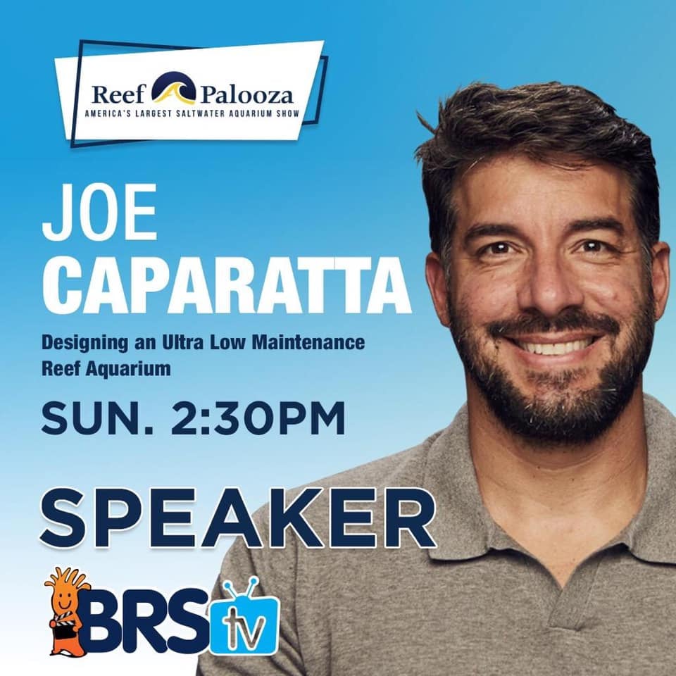 Hooray for Joe! We are proud to see you speak at Reefapalooza Chicago in Octorber
