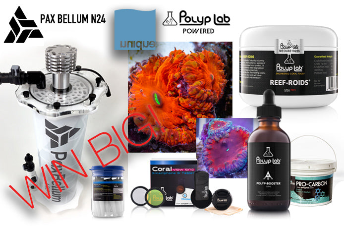 Win 1 year supply of PolypLab, Blasto Pack or Pax Bellum N24! FREE to Enter