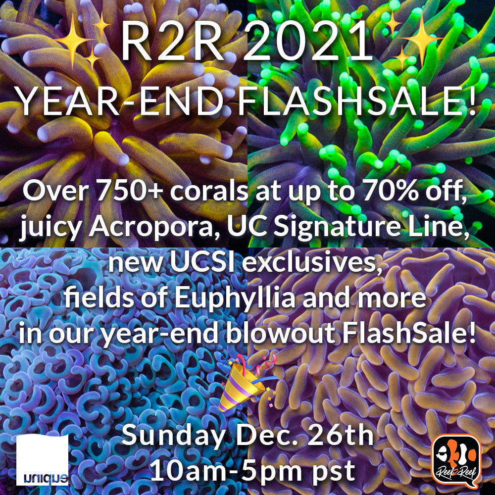 After Christmas R2R Flash Sale Sunday December 26th, 10am - 5pm pst