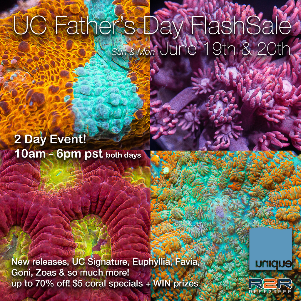 Father's Day FlashSale