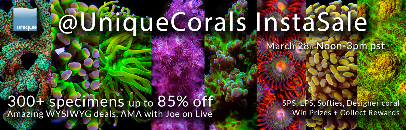 UniqueCorals Instagram FlashSale - March 28th Noon - 3pm @uniquecorals