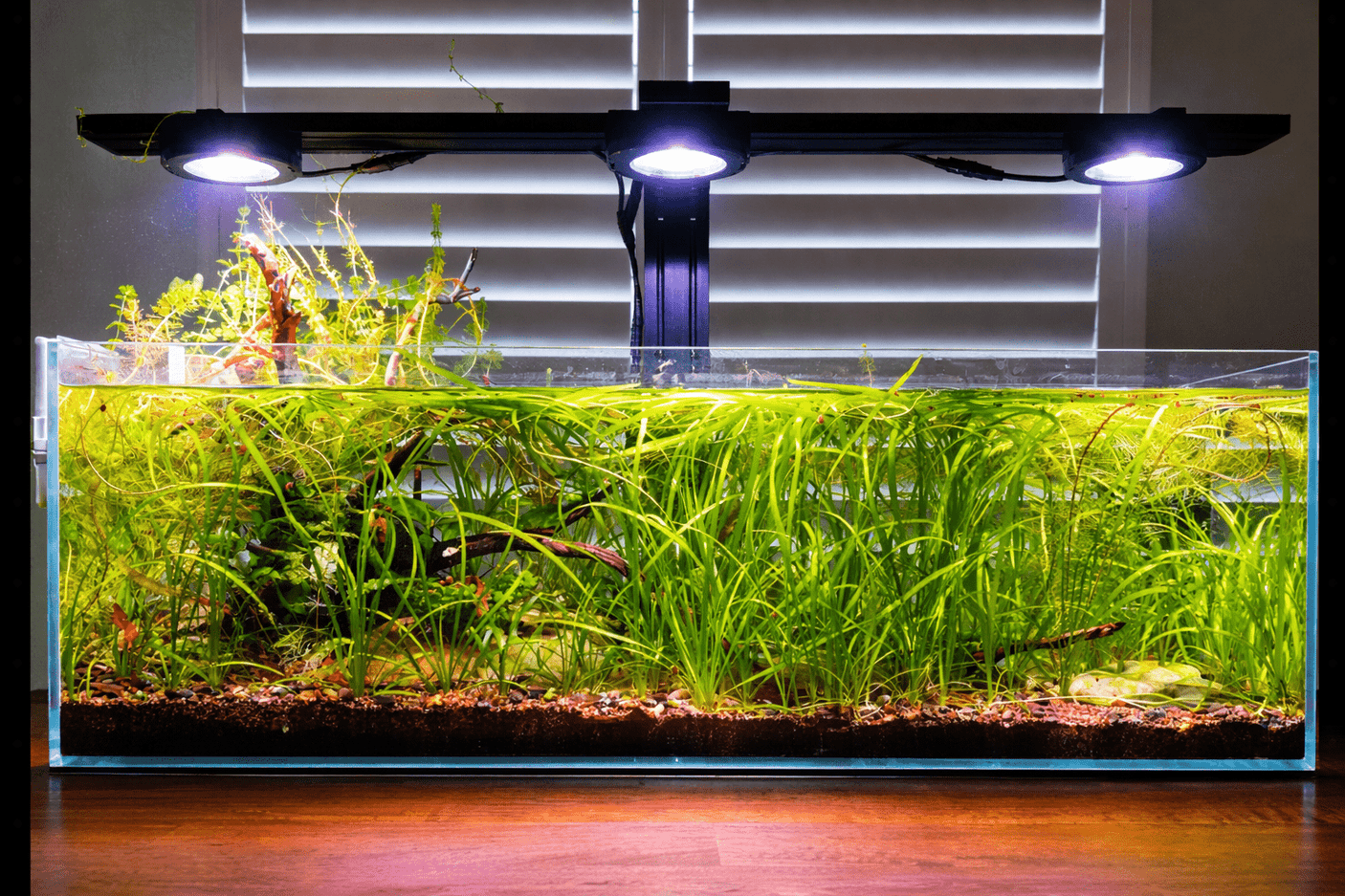 Illumagic Pixel Aquascaper