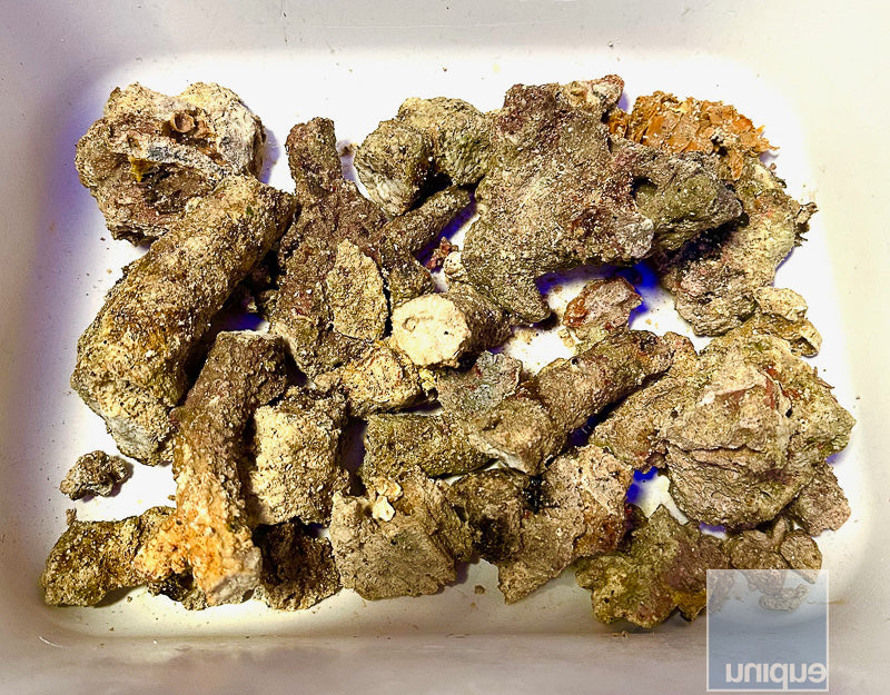 Australian Liverock Rubble (limited quantity available) Includes Free 2 day shipping!