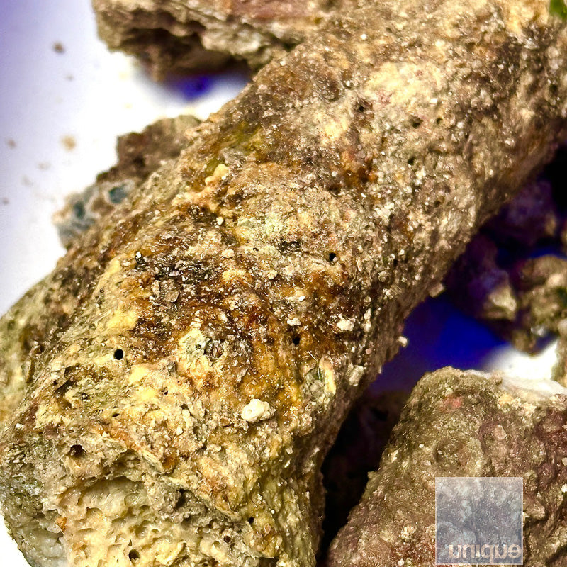 Australian Liverock Rubble (limited quantity available) Includes Free 2 day shipping!