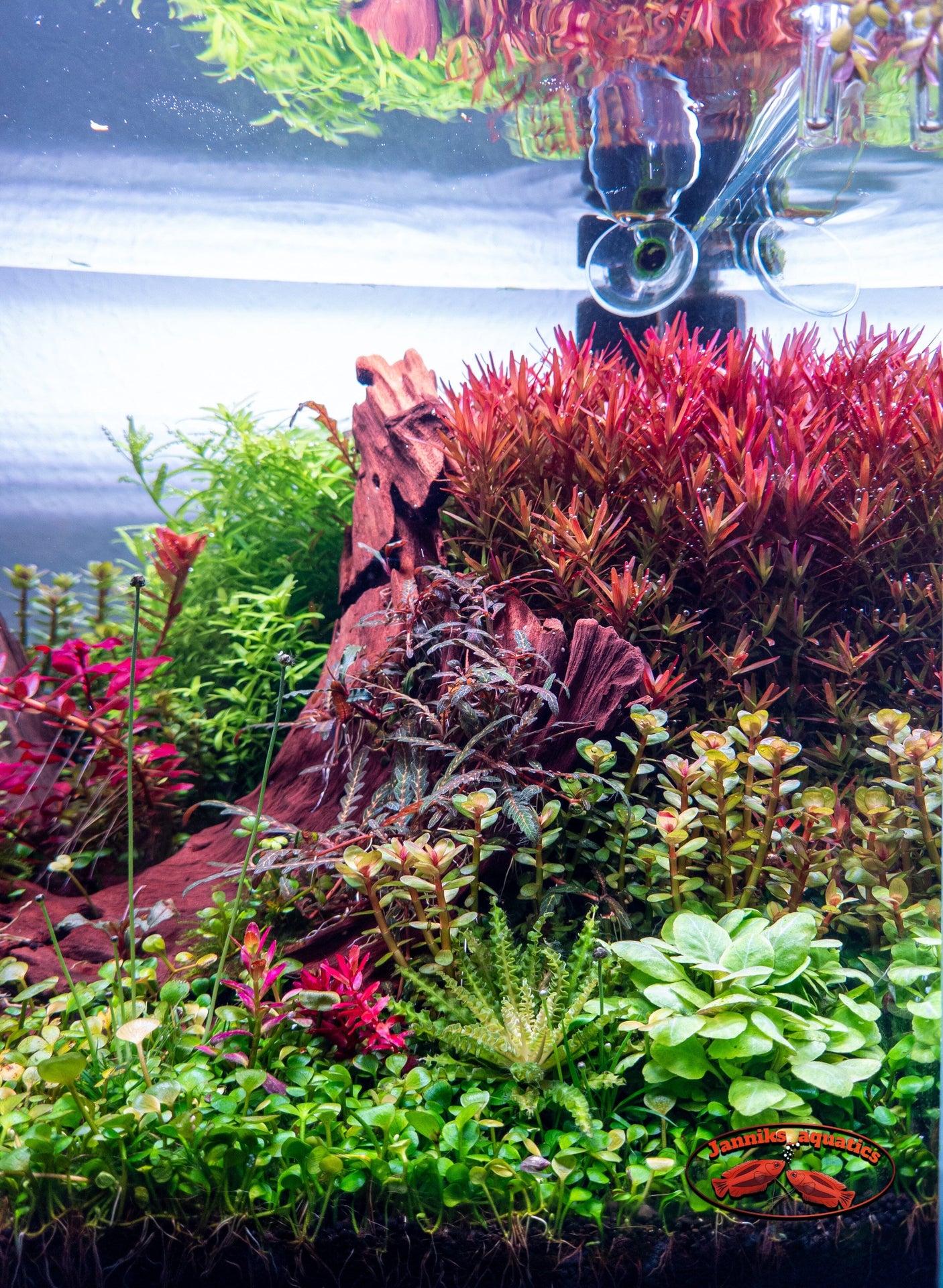 Freshwater Pixel LED Bundles All Sizes