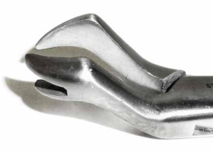 Dental Forcep #88R