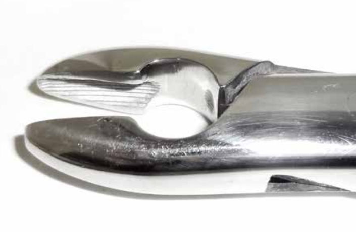Dental Forcep #99C