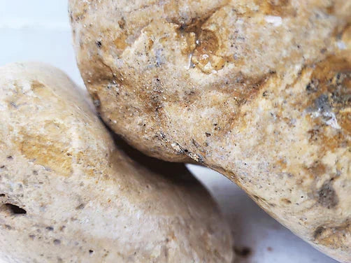 WIO - White Adder Boulder