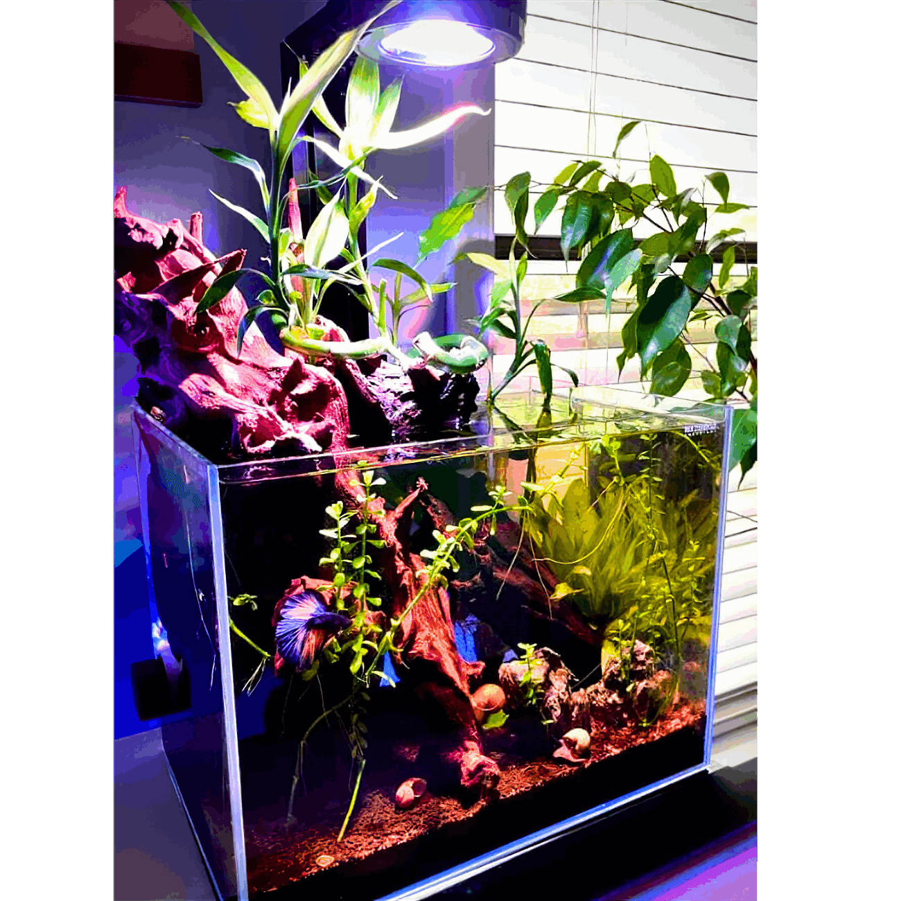Nano Pixel LED Bundle