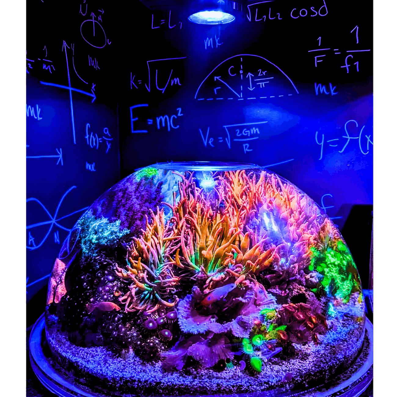 Nano Pixel LED Bundle