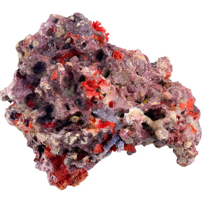 MarcoRocks Maricultured Live Rock. FREE SHIPPING!