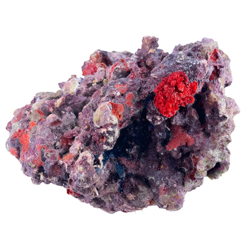 MarcoRocks Maricultured Live Rock. FREE SHIPPING!