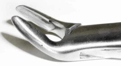 Dental Forcep #288