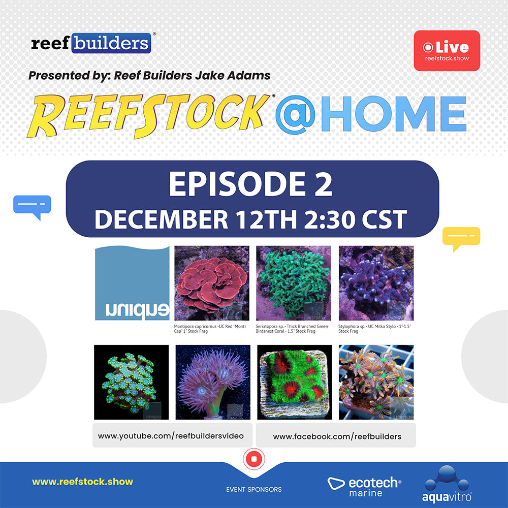 ReefStock @Home with Reefbuilders and UniqueCorals