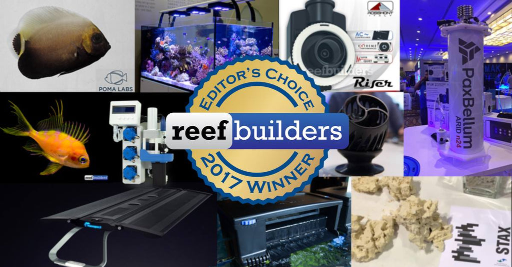 Pax Bellum and STAX featured in ReefBuilders Best of 2017