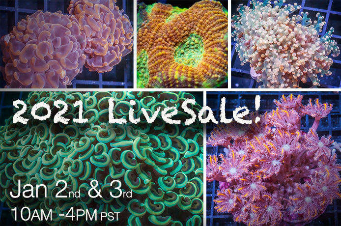Happy New Year R2R UC LiveSale! Jan 2nd & 3rd, both days 10am-4pm PST