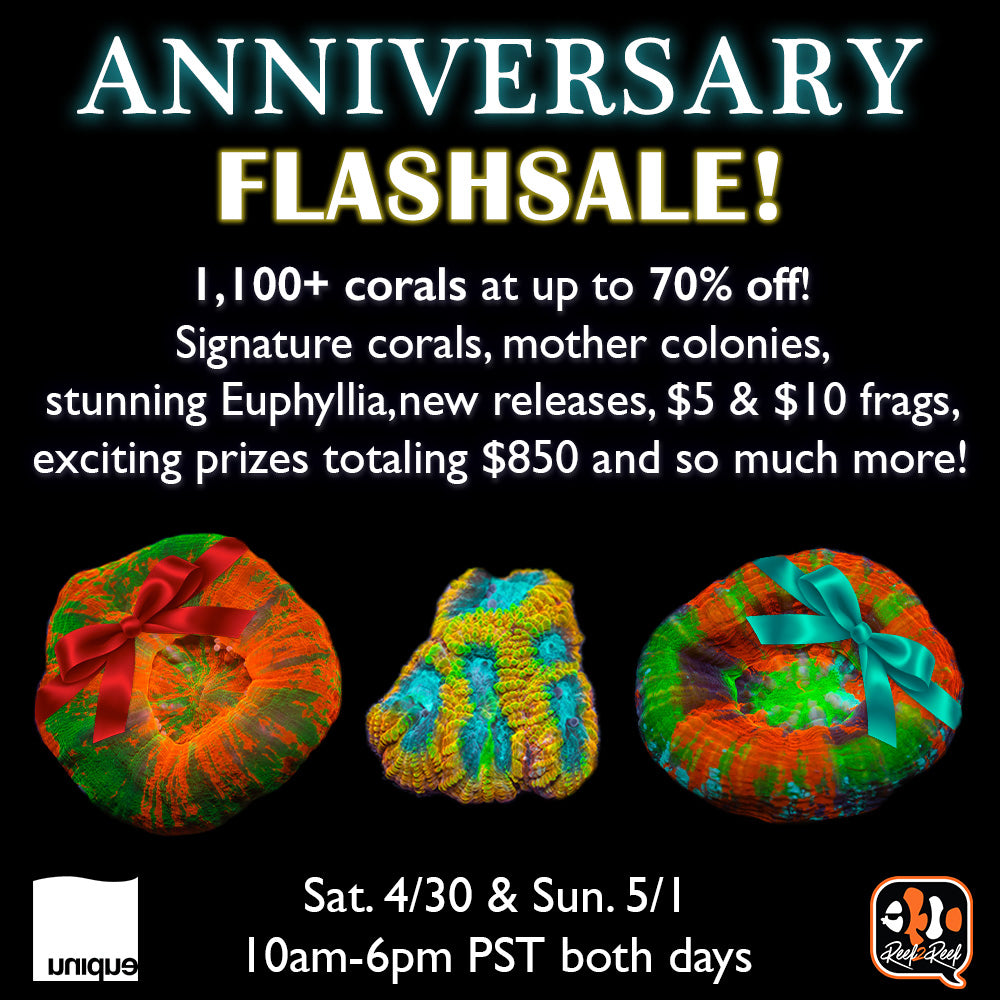 R2R Anniversary 2 Days FlashSale April 30 & May 1, 10am to 6pm both days