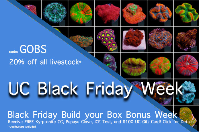 Build your Box Bonus Week, Only at Unique Corals!!