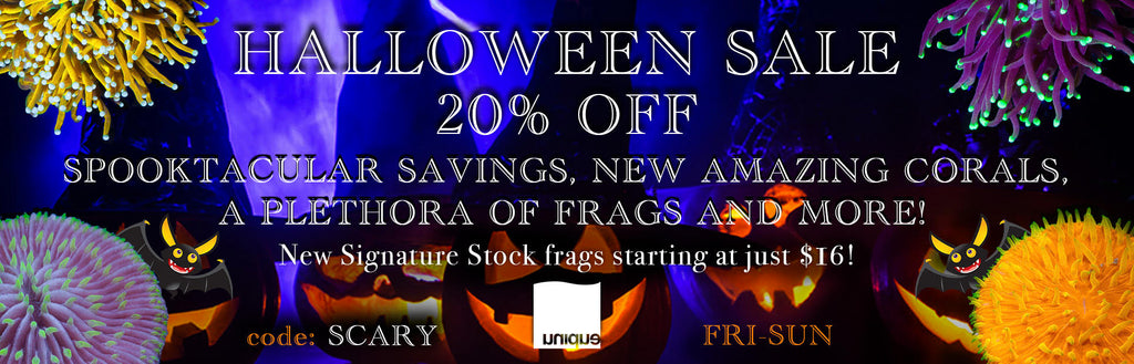 Happy Halloween! Celebrate the spookiness with 20% off all livestock!