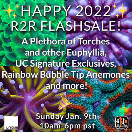 Happy 2022! 1st Reef2Reef FlashSale of the year- Sun Jan 9th 10am - 6pm pst