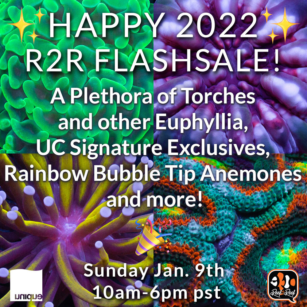 Happy 2022 1st Reef2Reef FlashSale of the year Sun Jan 9th 10am