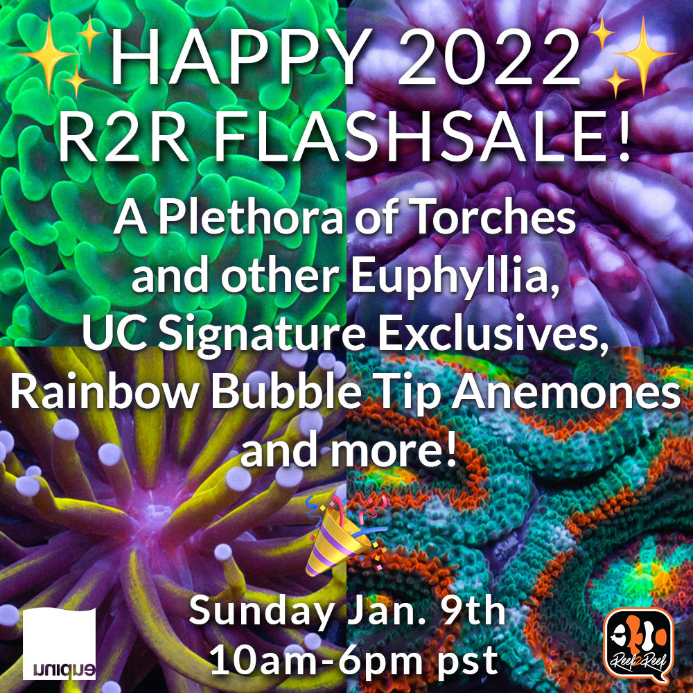 Happy 2022! 1st Reef2Reef FlashSale of the year- Sun Jan 9th 10am - 6pm pst