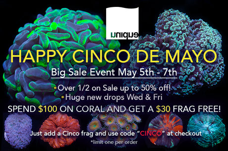 Happy Cinco De Mayo! Huge Sale Event and FREE Frag!