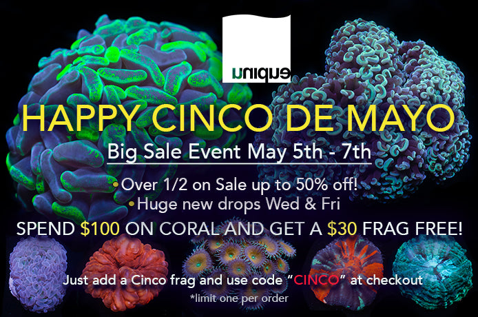 Happy Cinco De Mayo! Huge Sale Event and FREE Frag!