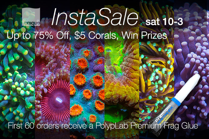 InstaSale Announced: March 6th 10am-3pm PST