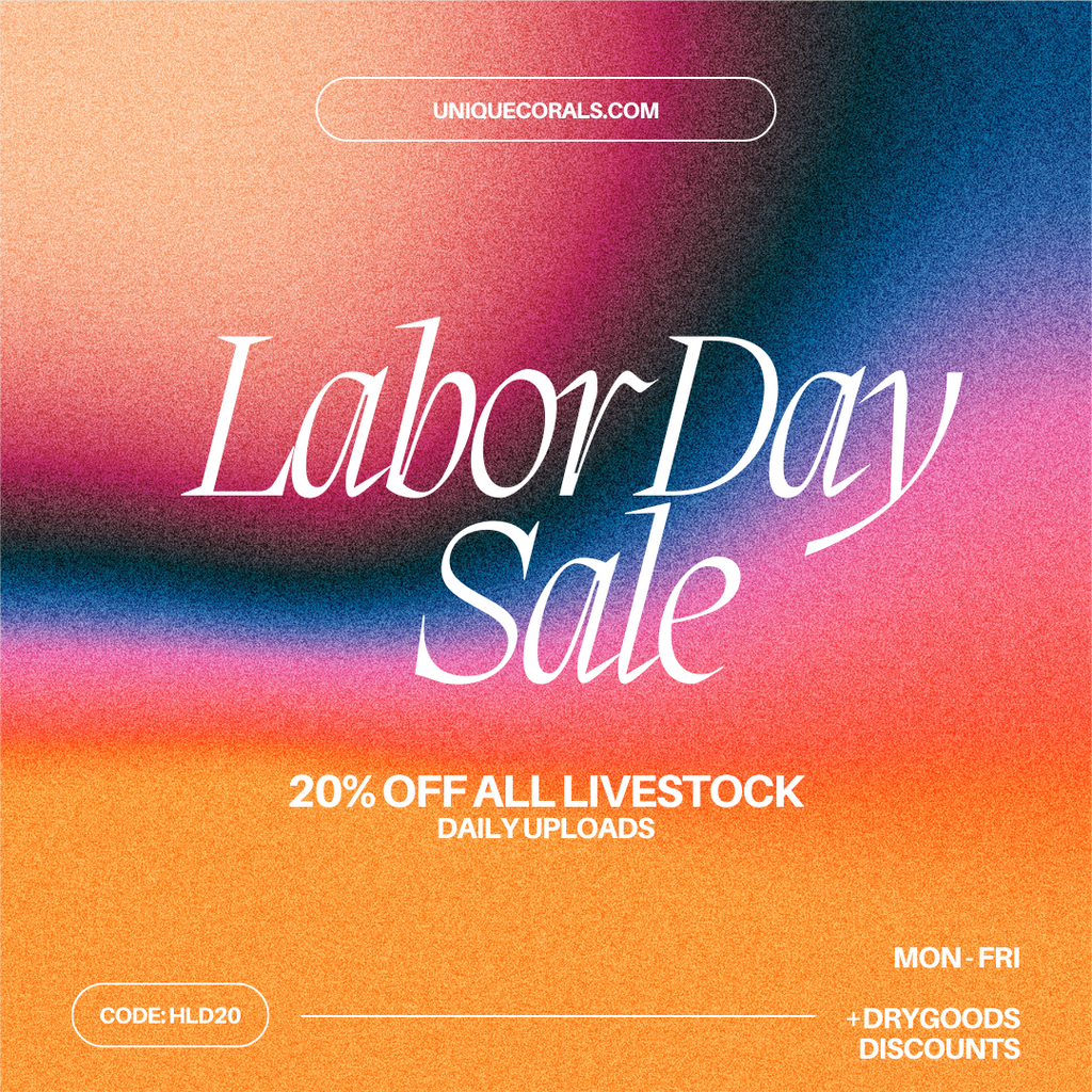 Happy Labor Day 2022! Huge savings for you!