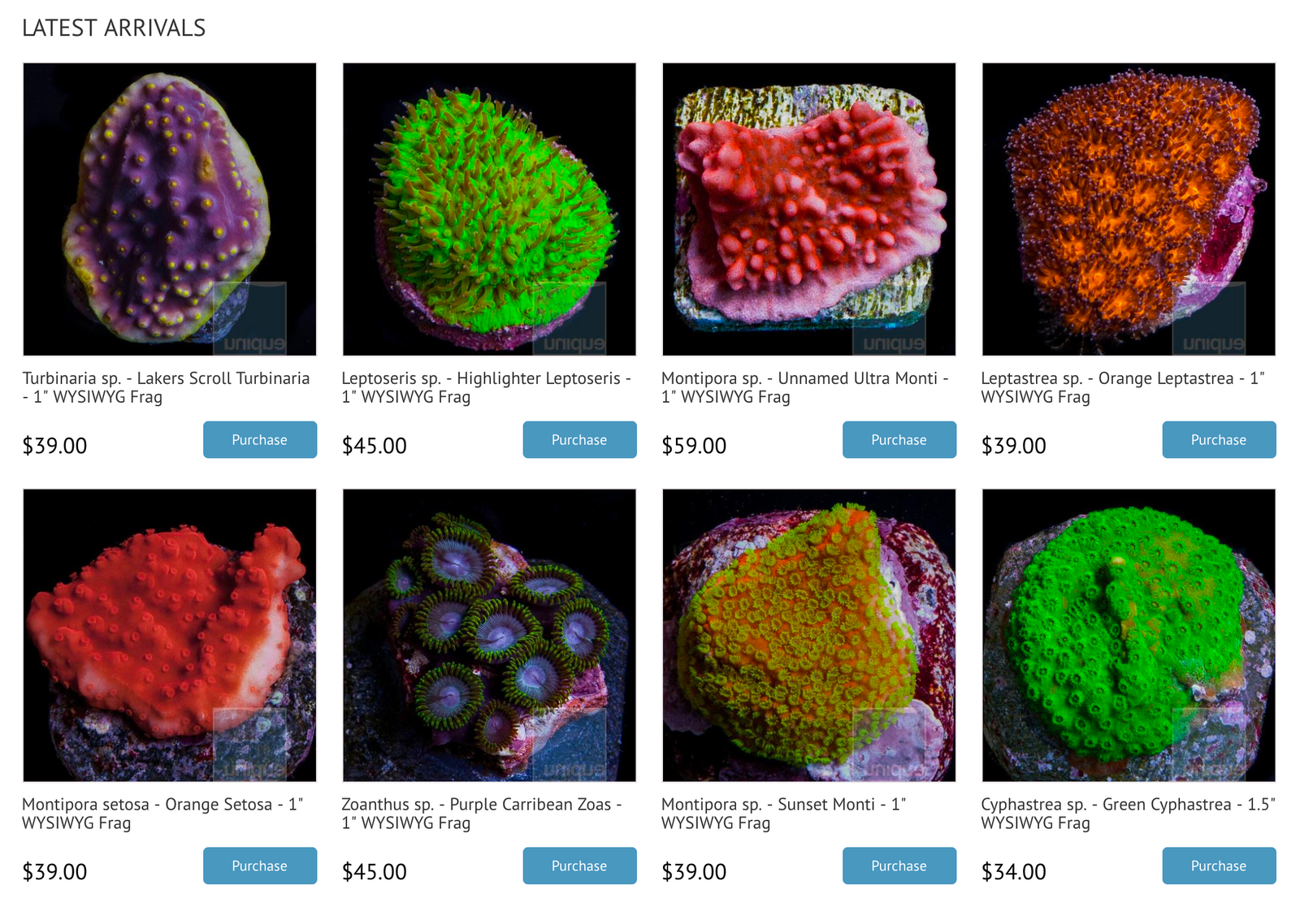 The Brand New UniqueCorals.com