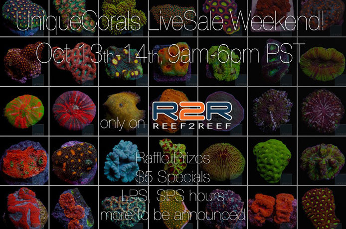 Reef2Reef Live Sale Oct 13 & 14, Winners Announced!