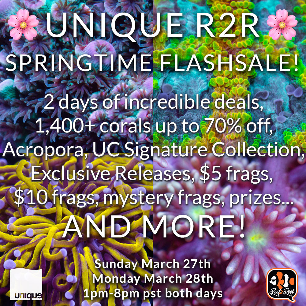 R2R Spring time 2 Days FlashSale March 27 & 28th 1pm-8pm