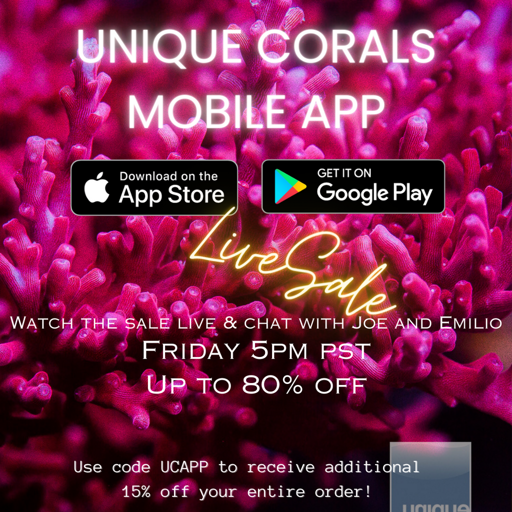 Live Selling experience, video streaming of your favorite corals