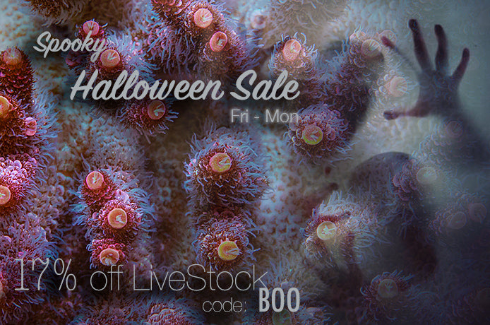 Spoooooky Halloween Sale! Friday Oct 30th to Monday Nov 2nd