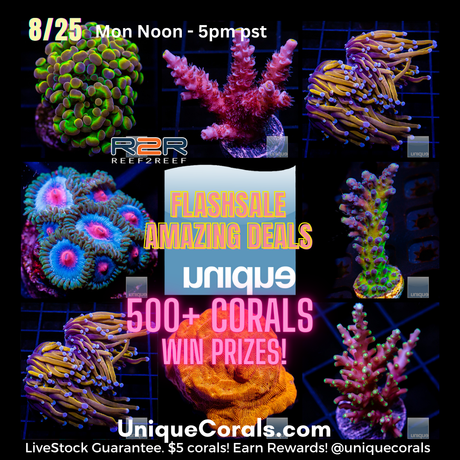 R2R Monday Flash Sale - August 25th Noon - 5pm #2