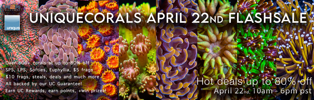 A brand new Unique Corals Flashsale - Monday April 22nd 10am-6pm pst