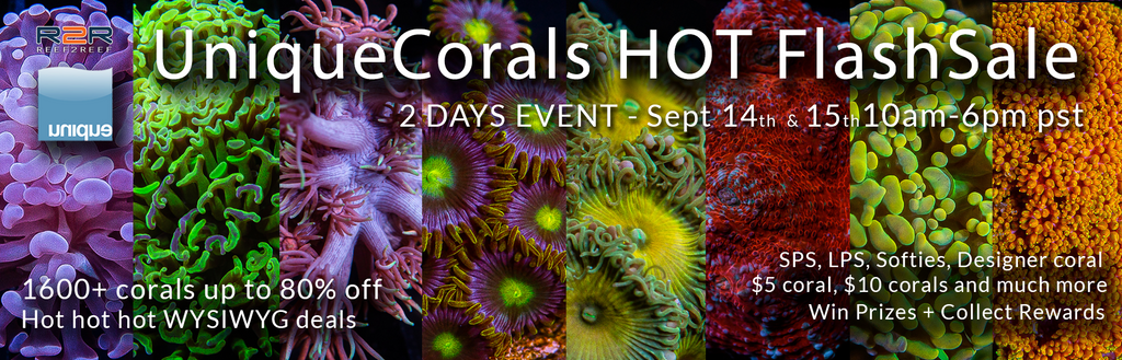 Beat the Heat! Sept 14th & 15th 10am-6pm pst both days - Two Day Sale Event