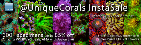 UniqueCorals Instagram FlashSale - March 28th Noon - 3pm @uniquecorals