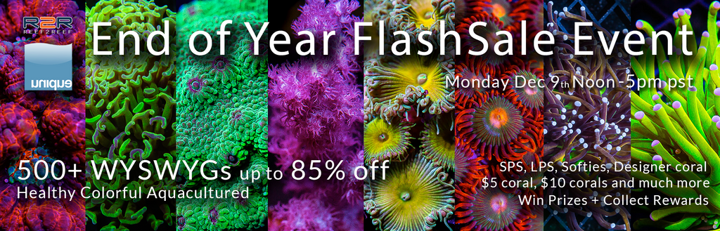 R2R UC Year End Monday FlashSale - Dec 9th Noon - 5pm