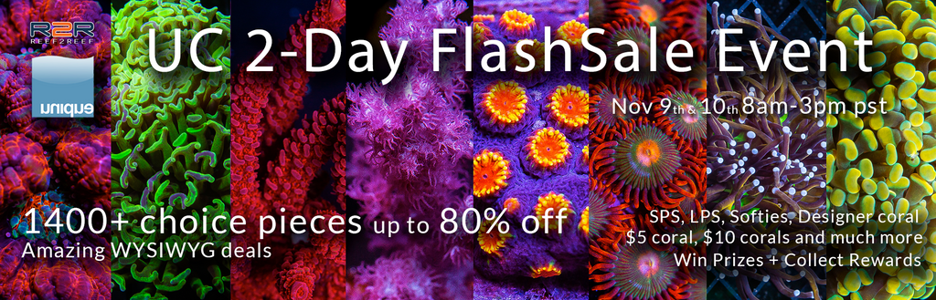 Mega Sale Event - Nov 9th and 10th FlashSale! 8am - 3pm both days