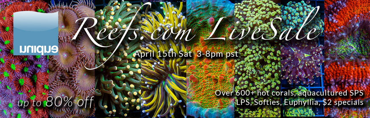 Reefs Livesale