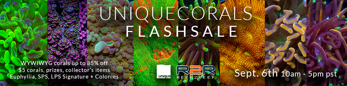 Beat the Heat! HOT FlashSale on Reef2reef Sept 6th 10am-4pm pst