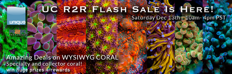Happy Holidays! UC R2R Saturday FlashSale Dec 13th 10am-4pm PST