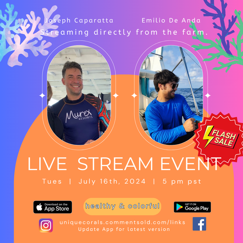 Livestream 7/16