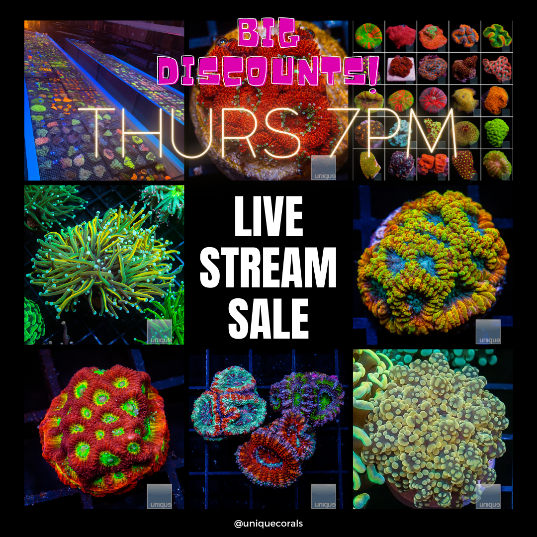 UC CommentSold - Exclusive Livestream Shopping - Thursday 7pm pst