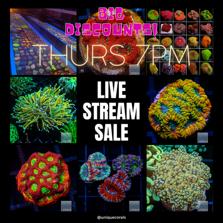 UC CommentSold - Exclusive Livestream Shopping - Thursday 7pm pst