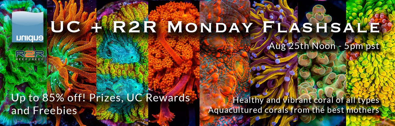 R2R Monday Flash Sale - August 25th Noon - 5pm pst