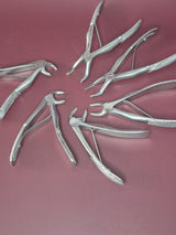 Tooth Extraction Forcep Set Pediatric (Custom 6)
