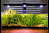 Illumagic Pixel Aquascaper